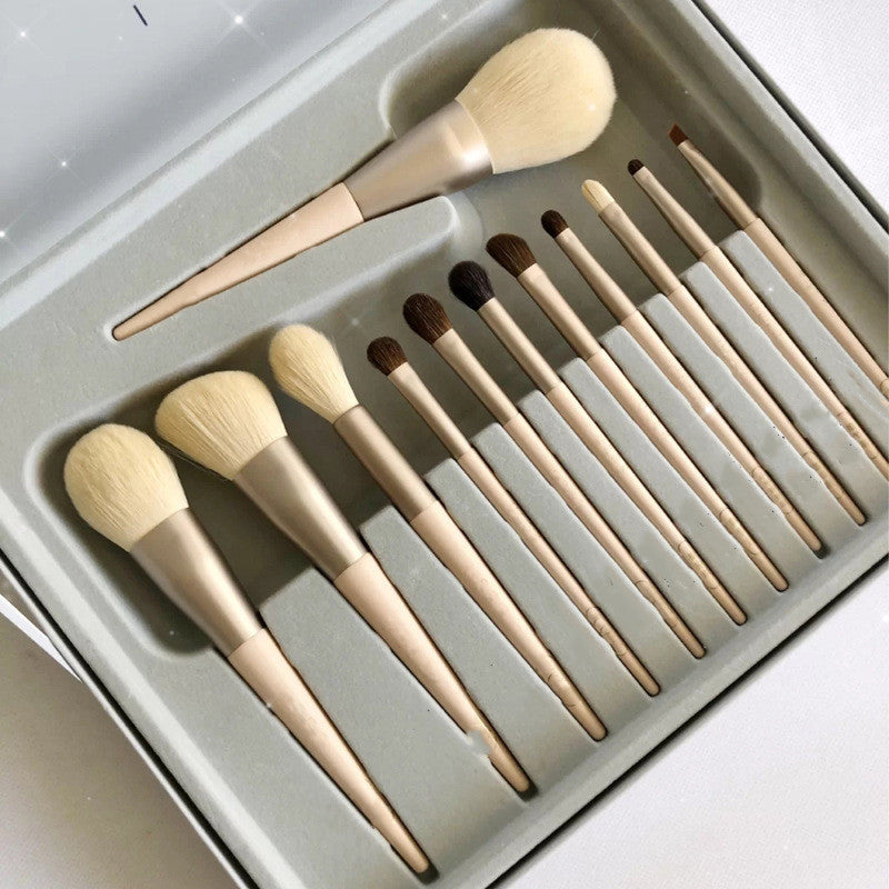 12 Essential Makeup Brushes - For All Looks